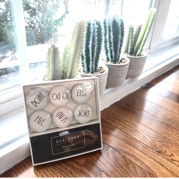 NWT Rae Dunn Set 6 glass-Dome Magnets - Picture 4 of 6